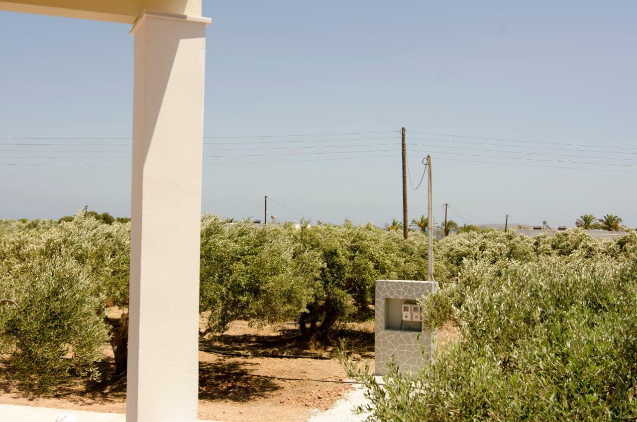פלקסטרון Giorgos Villa מראה חיצוני תמונה